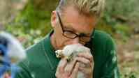 Police drop Packham chick sniff complaint