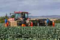 People living in the Highlands and Islands should have a say in recruiting immigrants as rural Scotland faces a predicted population decline of 16 per cent in the next 20 years, the MSP Kate Forbes said