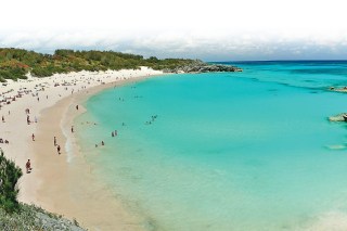 The pink beach in Bermuda islands